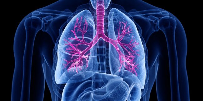 什么是慢性阻塞性肺病 (Chronic Obstructive Pulmonary Disease)，為何與新冠疫情有關(guān)？